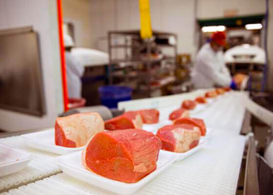 Production line at a beef processing plant