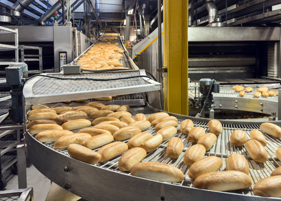 View of rolls on a factory conveyor belt