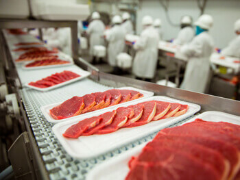 Assembly line of a meat food processing plant