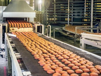 Assembly line of a bakery food processing plant